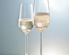 Champagne FluteTulip Glass 230ml